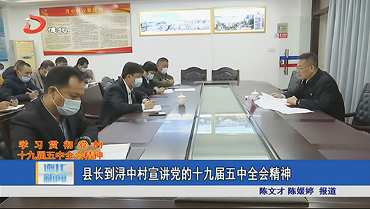 县长到浔中村宣讲党的十九届五中全会精神 - 憨鼠网