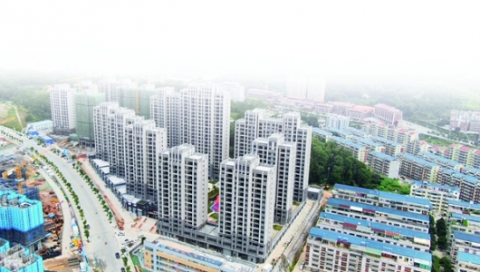 打造城乡美景，共建幸福家园 - 憨鼠网