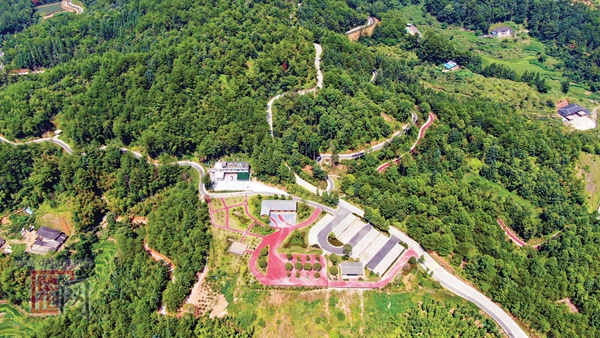 打造城乡美景，共建幸福家园 - 憨鼠网