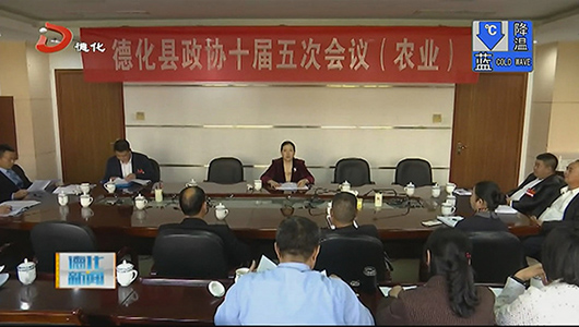 德化县政协委员继续分组讨论相关工作报告 - 憨鼠网