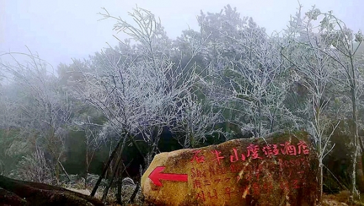 九仙山、石牛山再现雾凇！ - 憨鼠网