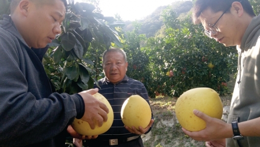 持续“充电”带动村民致富 - 憨鼠网