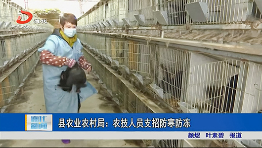 县农业农村局：农技人员支招防寒防冻 - 憨鼠网