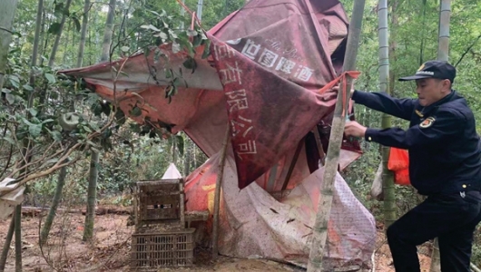 多措并举控制新增“两违” - 憨鼠网