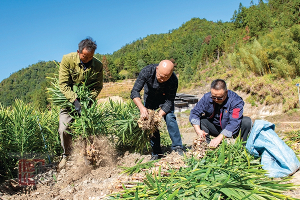 驻村更助村 小山村实现大蜕变 - 憨鼠网