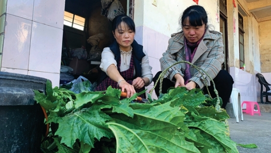 三妯娌共筑和谐幸福大家庭 - 憨鼠网