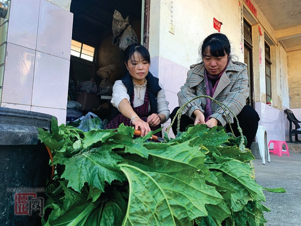 三妯娌共筑和谐幸福大家庭 - 憨鼠网