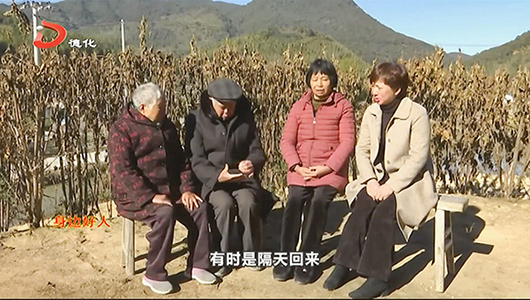 罗碧玉：孝老爱亲传佳话 - 憨鼠网
