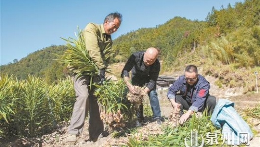 “地理标志”成富农兴农“香饽饽” - 憨鼠网