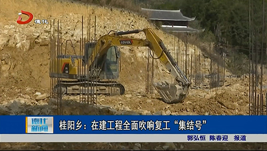 桂阳乡：在建工程全面吹响复工“集结号” - 憨鼠网
