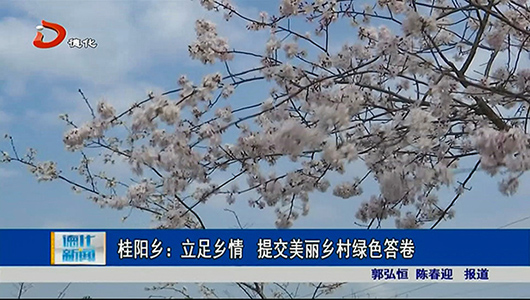 桂阳乡：立足乡情 提交美丽乡村绿色答卷 - 憨鼠网