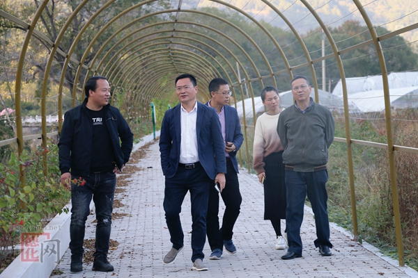 开新局 亮思路 起好步（二） - 憨鼠网
