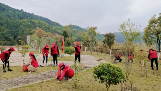 美化停车区，巾帼别样红 - 憨鼠网