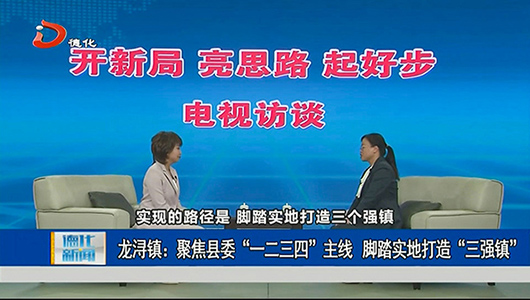 龙浔镇：聚焦县委“一二三四”主线 脚踏实地打造“三强镇” - 憨鼠网