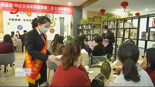 县人民法院巾帼宣讲团“送法进企业” - 憨鼠网