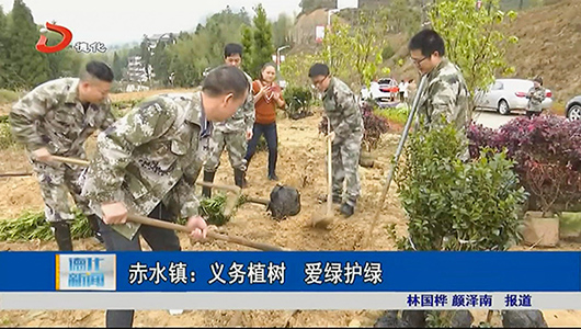 赤水镇：义务植树 爱绿护绿 - 憨鼠网