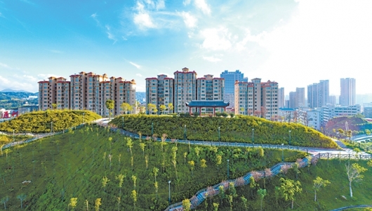 公园建在家门口 市民乐享慢生活 - 憨鼠网