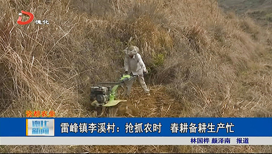 雷峰镇李溪村：抢抓农时 春耕备耕生产忙 - 憨鼠网
