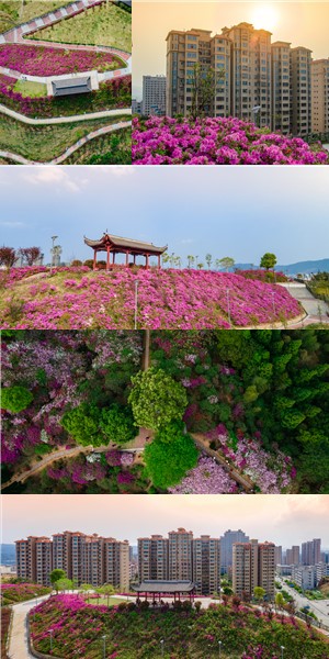 阳春三月 春暖花开 - 憨鼠网