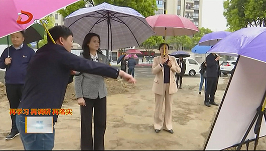 县委书记到龙浔镇调研 - 憨鼠网
