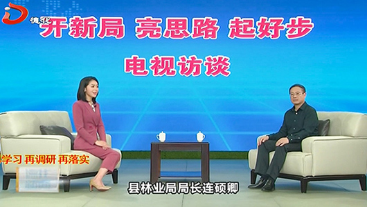县林业局：对标县委新思路 聚焦林业“五个一 ” 全力助推闽中区域发展中心建设 - 憨鼠网