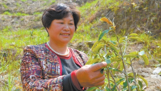 陈丽玉：带动村民走上增收致富路 - 憨鼠网