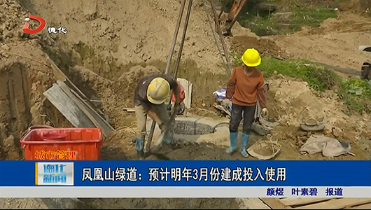 凤凰山绿道：预计明年3月建成投入使用 - 憨鼠网