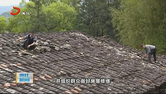 南埕镇南埕村：冰雹暴雨突袭 干群合力生产自救 - 憨鼠网