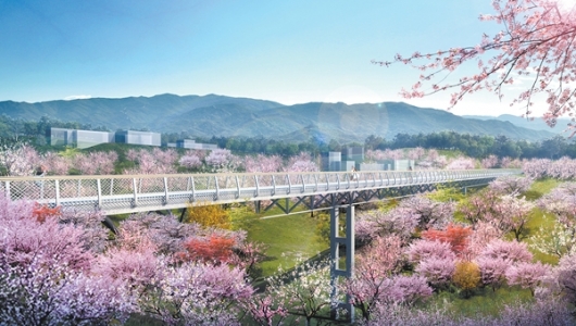 凤凰山绿道：打造市民休闲健身好去处 - 憨鼠网