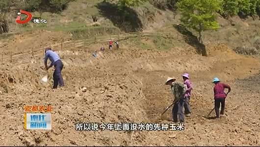 葛坑镇：荒地复垦 让荒地变宝地 - 憨鼠网