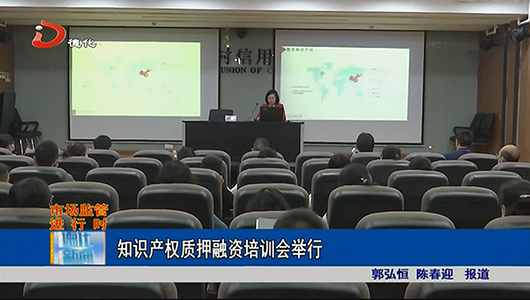 知识产权质押融资培训会举行 - 憨鼠网