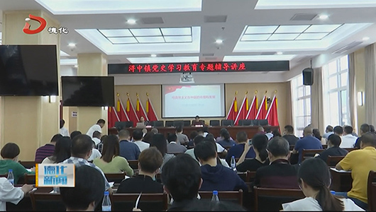 浔中镇举行党史学习教育专题辅导讲座 - 憨鼠网