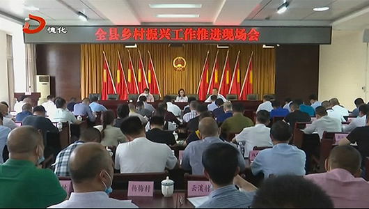 全县乡村振兴工作推进现场会召开 - 憨鼠网