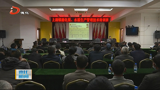 农业专家现场传授德化梨、水稻生产管理技术 - 憨鼠网