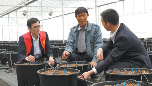 金融“活水”赋能乡村振兴 - 憨鼠网