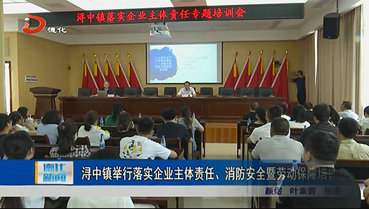 浔中镇举行落实企业主体责任、消防安全暨劳动保障培训会 - 憨鼠网