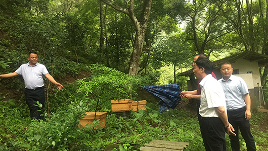 市老促会到霞山老区村调研 - 憨鼠网