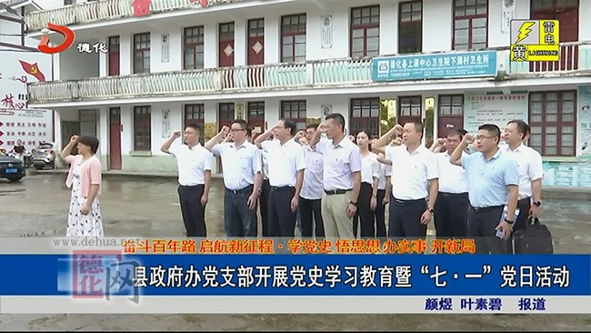 县政府办党支部开展党史学习教育暨“七·一”党日活动 - 憨鼠网