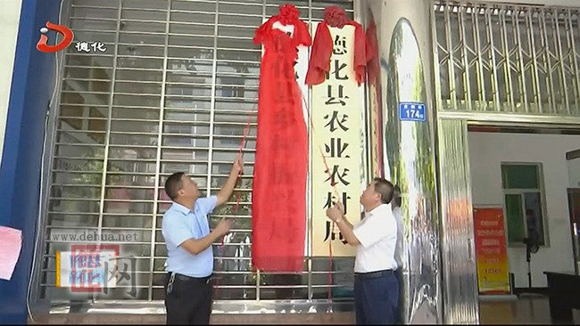 县乡村振兴局揭牌 - 憨鼠网