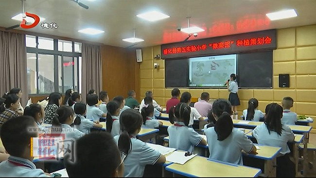 五实小：规划“微菜园” 培养学生劳动素养 - 憨鼠网