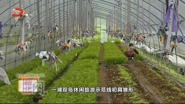 龙门滩：全力推进“城郊型工业强镇”建设 增强群众幸福感 - 憨鼠网