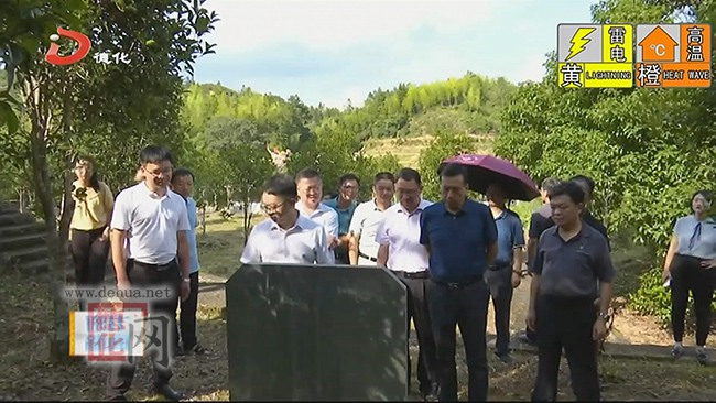 县人大常委会调研我县历史文化名镇名村和传统村落保护利用工作 - 憨鼠网
