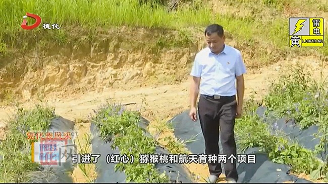 温辉煌：助力村财增收 改善民生福祉 - 憨鼠网