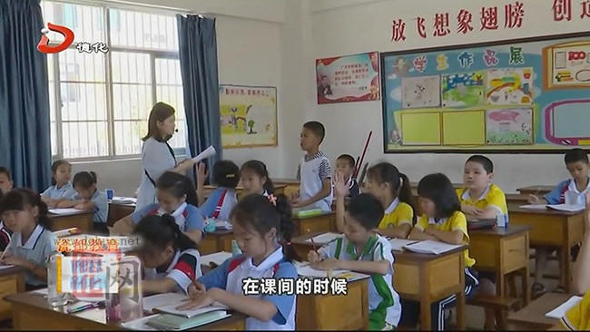 暑期托管助力学生趣味暑假 - 憨鼠网