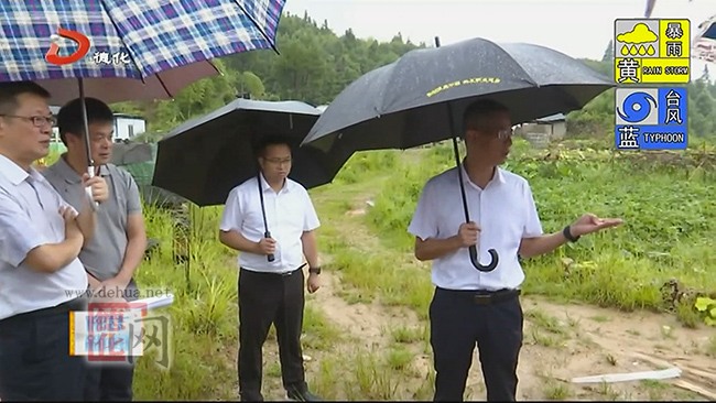 县长调研县中心粮库扩建选址工作 - 憨鼠网