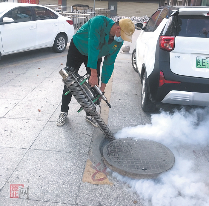 组织开展主城区除“四害”消杀活动 - 憨鼠网