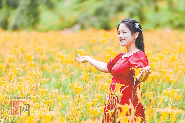金花扮靓乡村 - 憨鼠网