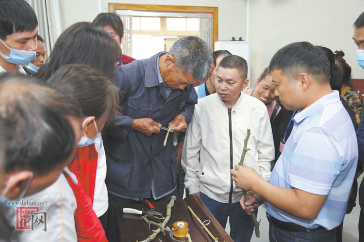“千名城乡劳动者就业技能培训”活动举办 - 憨鼠网