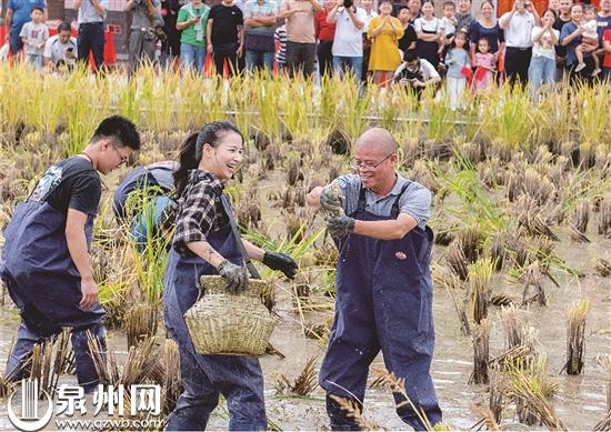 “爆款”乡村的富民良方 - 憨鼠网