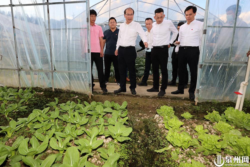 更高质量推动乡村振兴 王永礼到德化调研 - 憨鼠网